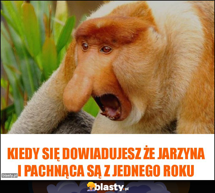 Kiedy się dowiadujesz że jarzyna i pachnąca są z jednego roku