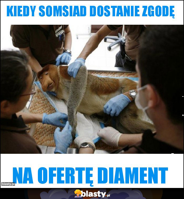 Kiedy somsiad dostanie zgodę