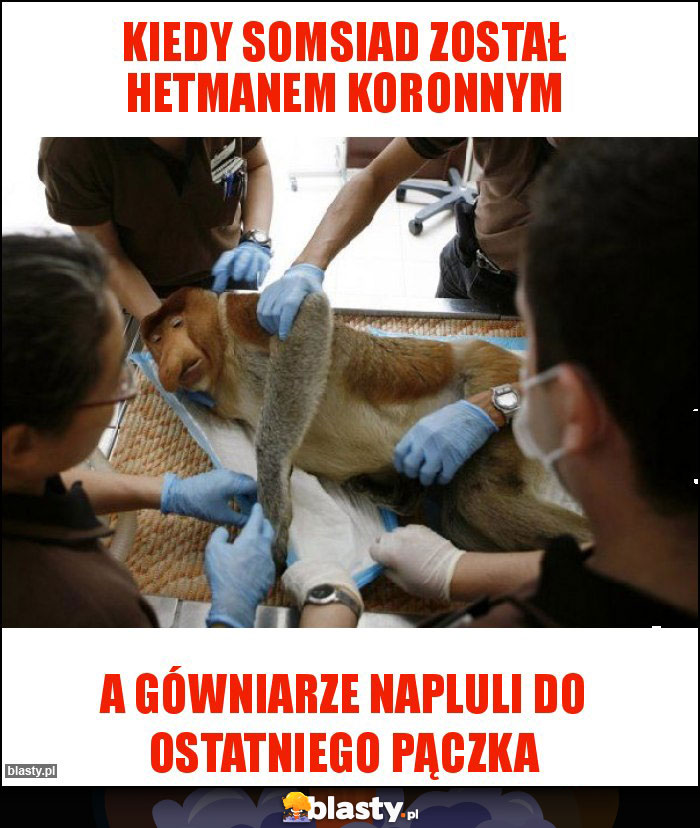 Kiedy somsiad został hetmanem koronnym