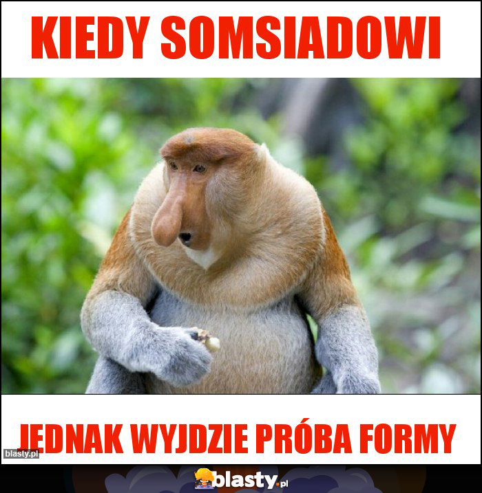 KIEDY SOMSIADOWI