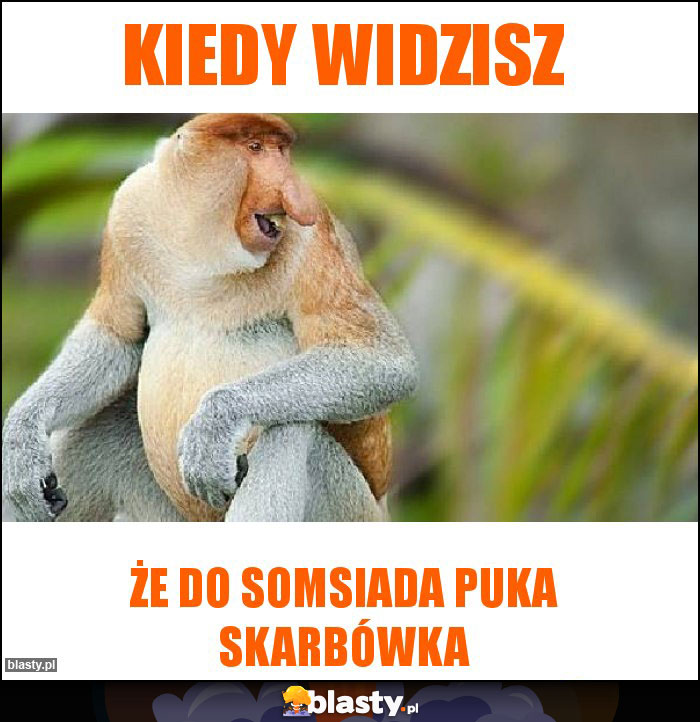 Kiedy widzisz