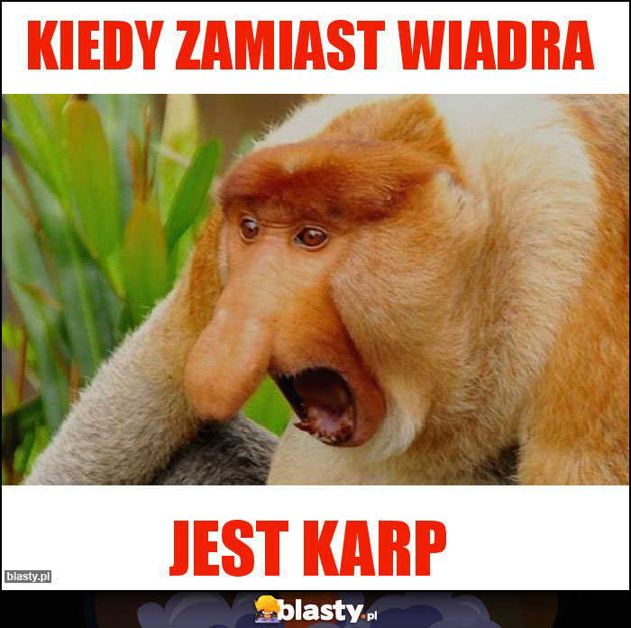 Kiedy zamiast wiadra