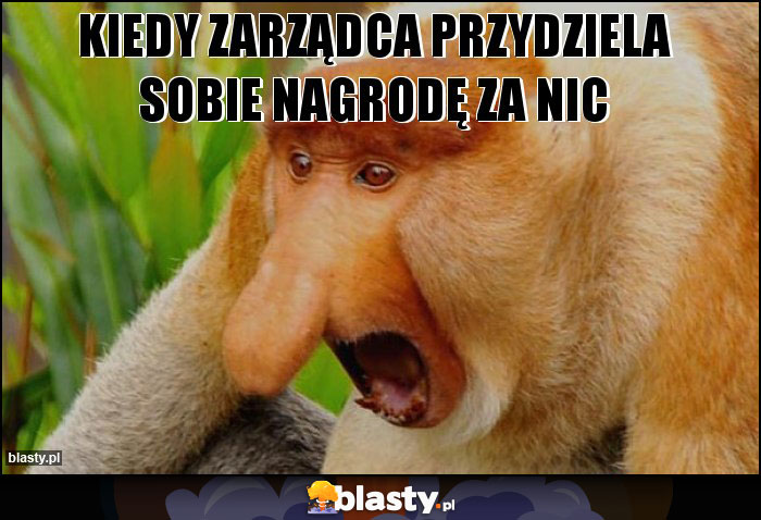 Kiedy zarządca przydziela sobie nagrodę za nic