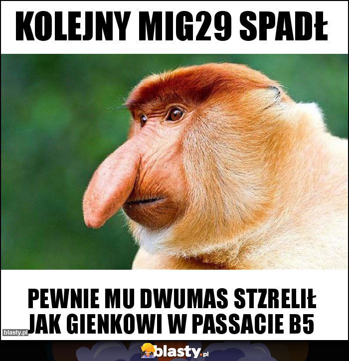 Kolejny Mig29 SPADŁ