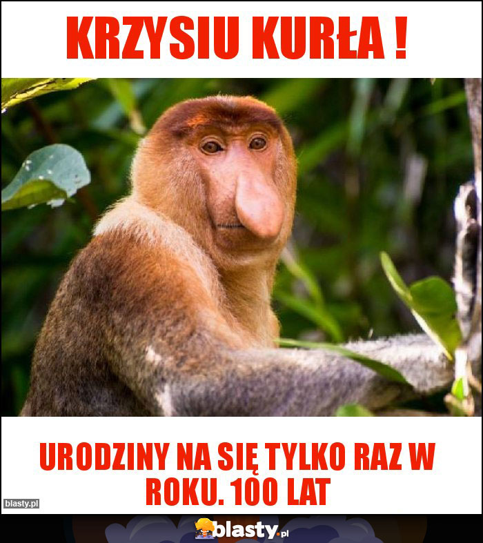 Krzysiu kurła !