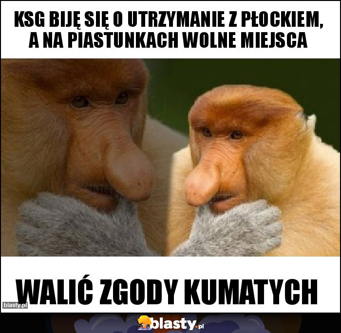 KSG biję się o utrzymanie z Płockiem, a na Piastunkach wolne miejsca