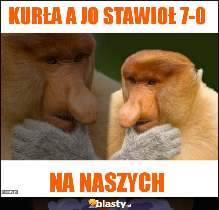 Kurła A jo stawioł 7-0