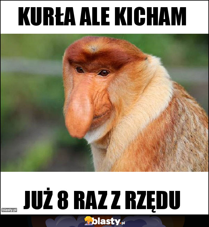 Kurła ale kicham