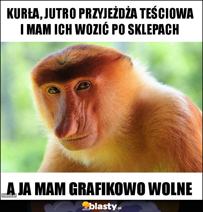 Kurła, jutro przyjeżdża teściowa i mam ich wozić po sklepach