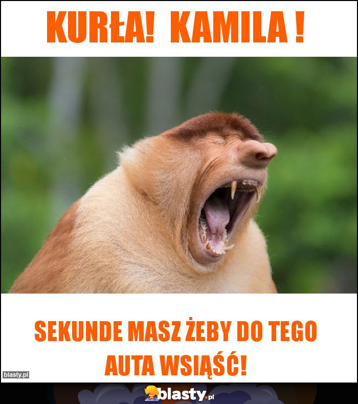 Kurła!  Kamila !