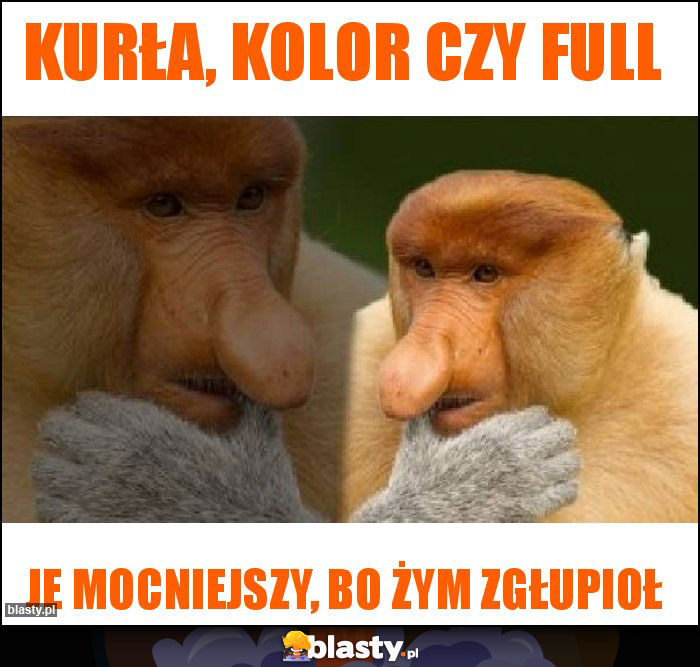 Kurła, kolor czy full