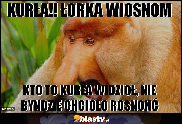 Kurła!! Łorka Wiosnom