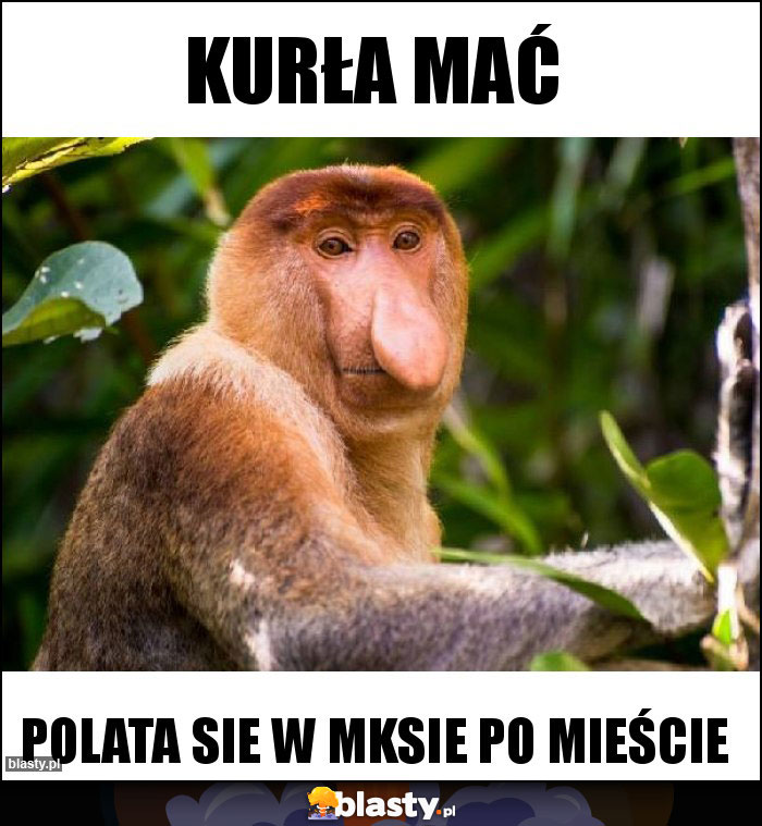 Kurła mać