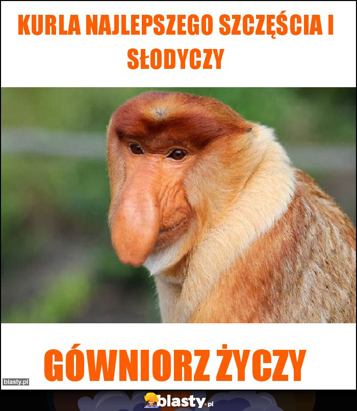 Kurla najlepszego szczęścia i słodyczy