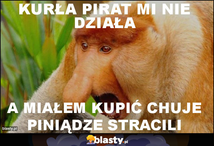 Kurła pirat mi nie działa