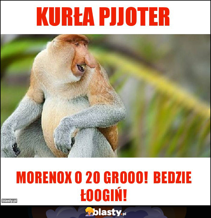 Kurła pjjoter