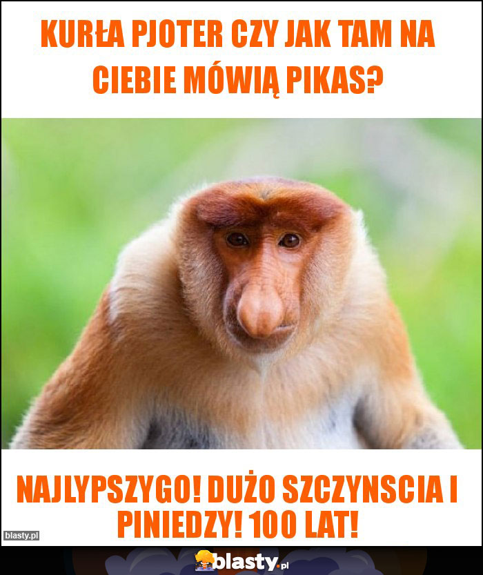 Kurła Pjoter czy jak tam na Ciebie mówią Pikas?