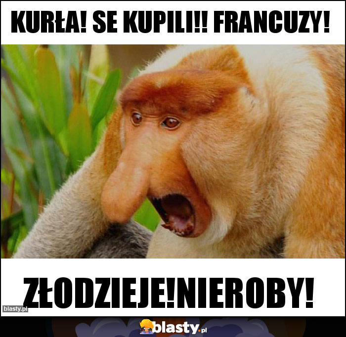 Kurła! Se kupili!! Francuzy!