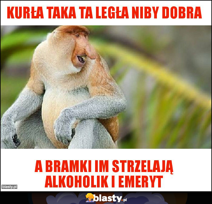 Kurła taka ta Legła niby dobra