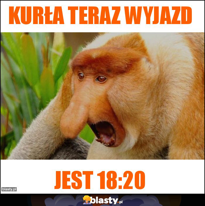 Kurła teraz wyjazd