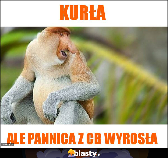 Kurła