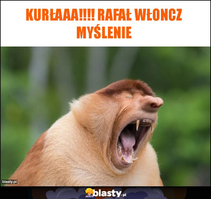 KURŁAAA!!!! RAFAŁ WŁONCZ MYŚLENIE