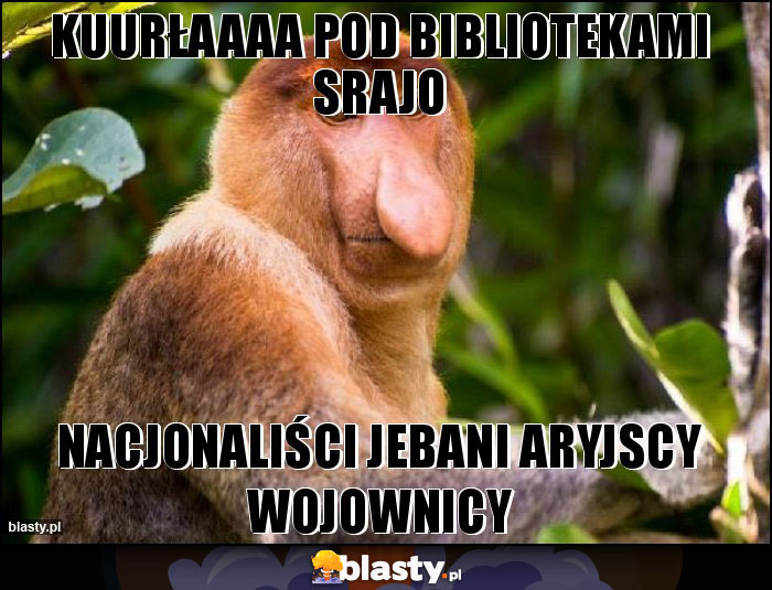 kuurłaaaa Pod bibliotekami srajo