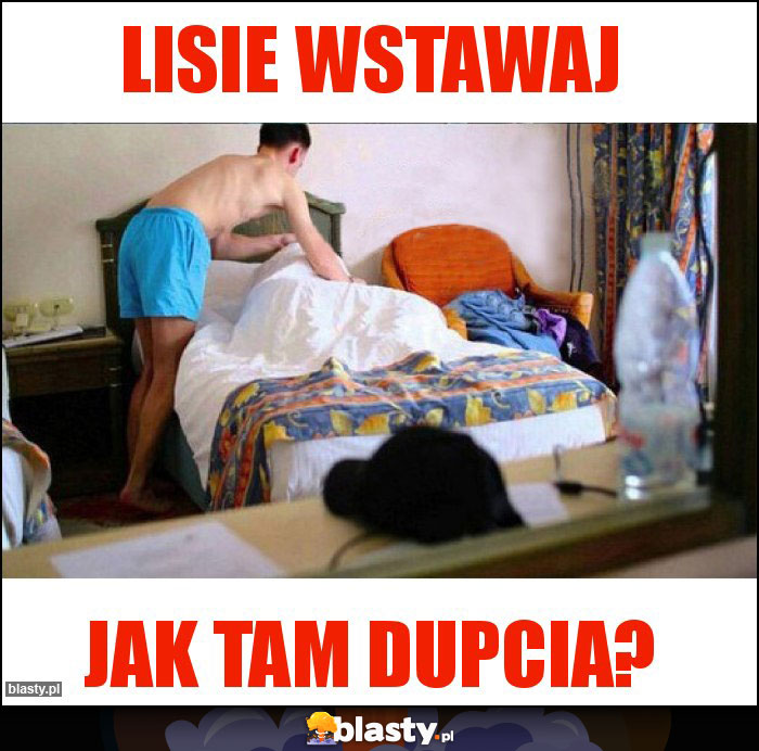 Lisie wstawaj