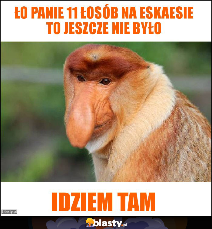 ŁO PANIE 11 ŁOSÓB NA ESKAESIE TO JESZCZE NIE BYŁO