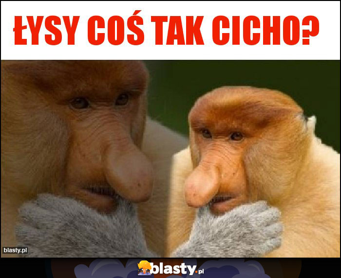 Łysy coś tak cicho?