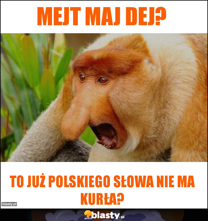 Mejt maj dej?