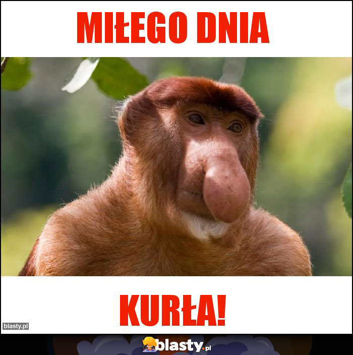 Miłego dnia