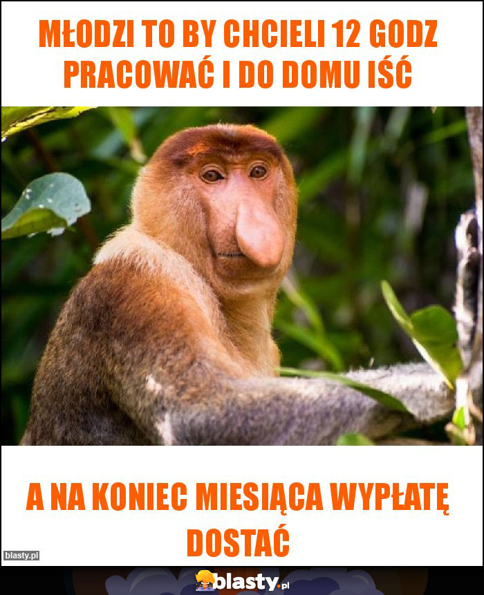 Młodzi to by chcieli 12 godz pracować i do domu iść