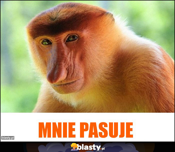 Mnie pasuje