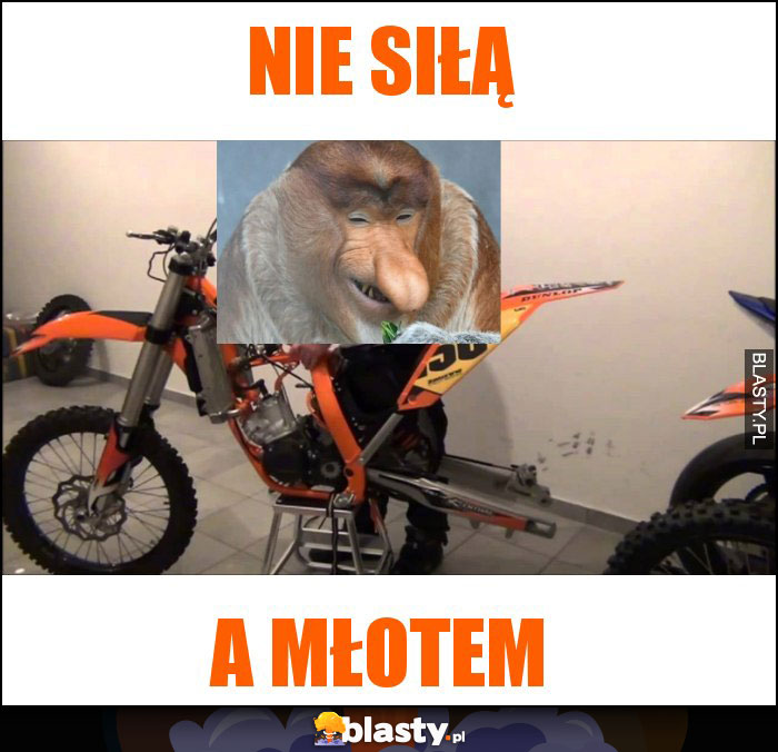 Nie siłą