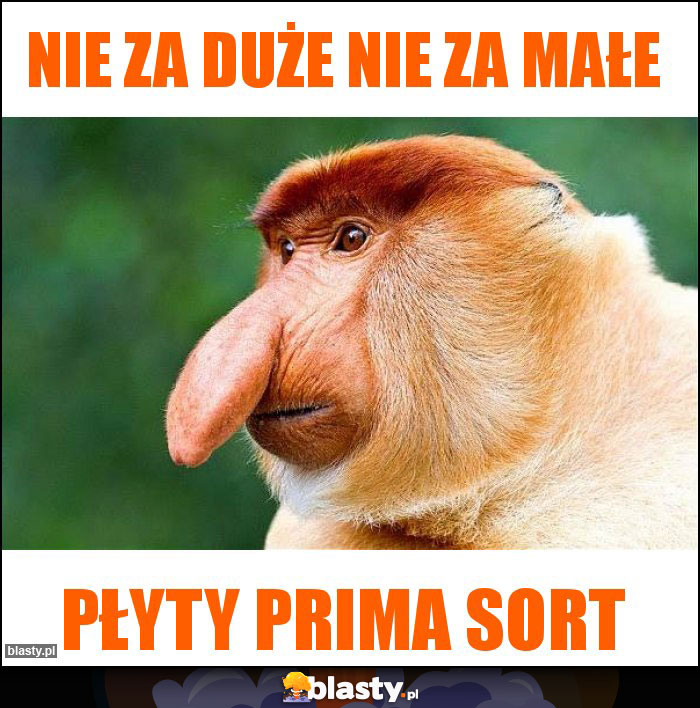 Nie za duże nie za małe