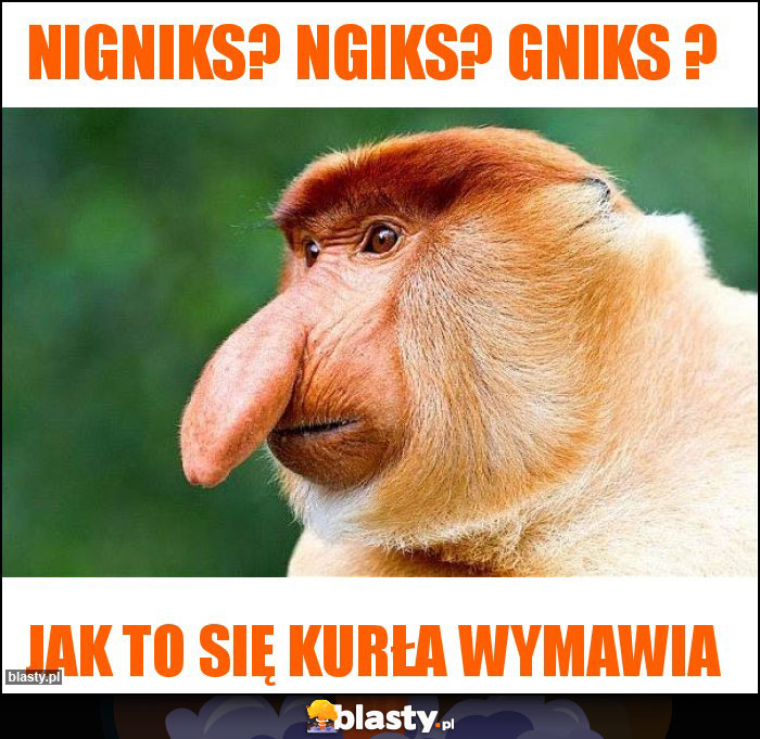 nigniks? ngiks? gniks ?