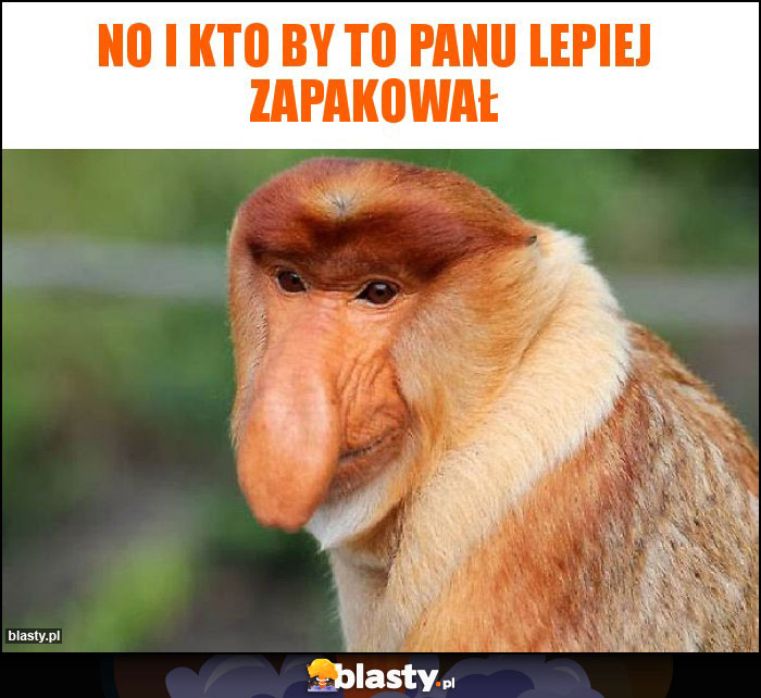 NO I KTO BY TO PANU LEPIEJ ZAPAKOWAŁ