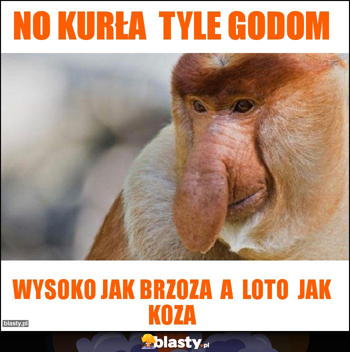 No kurła  tyle godom