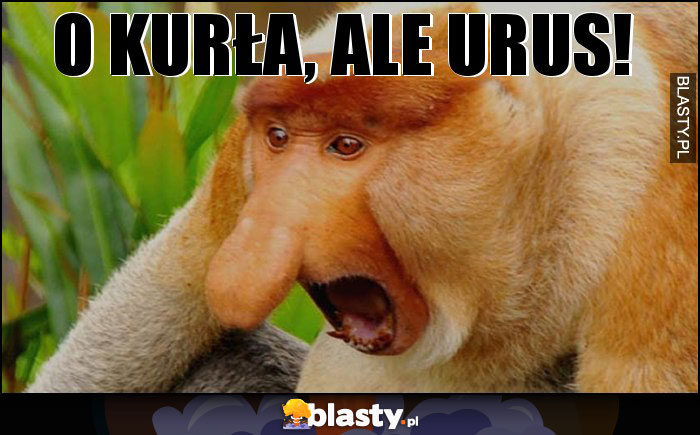 O KURŁA, ALE URUS!