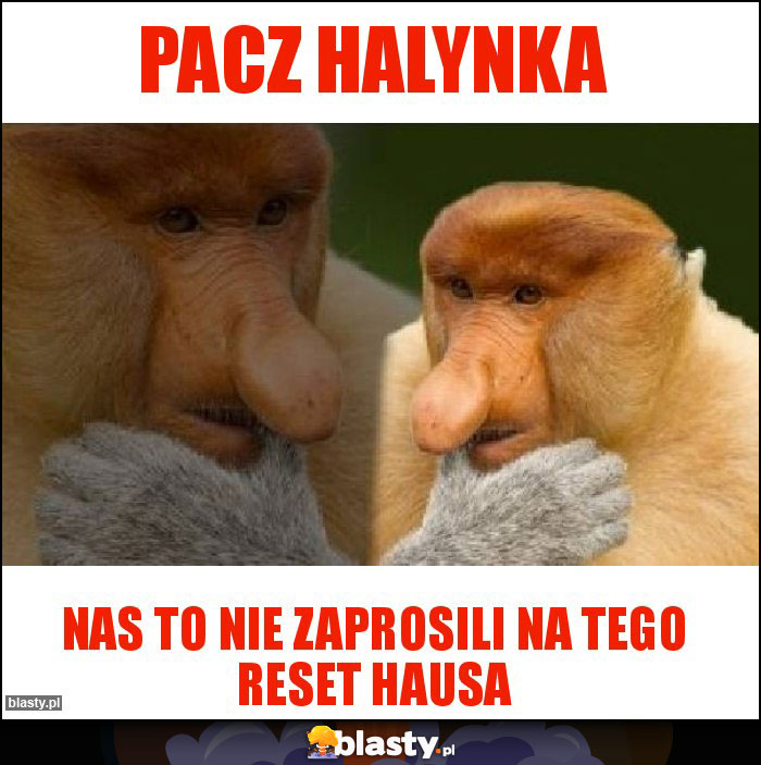 Pacz Halynka