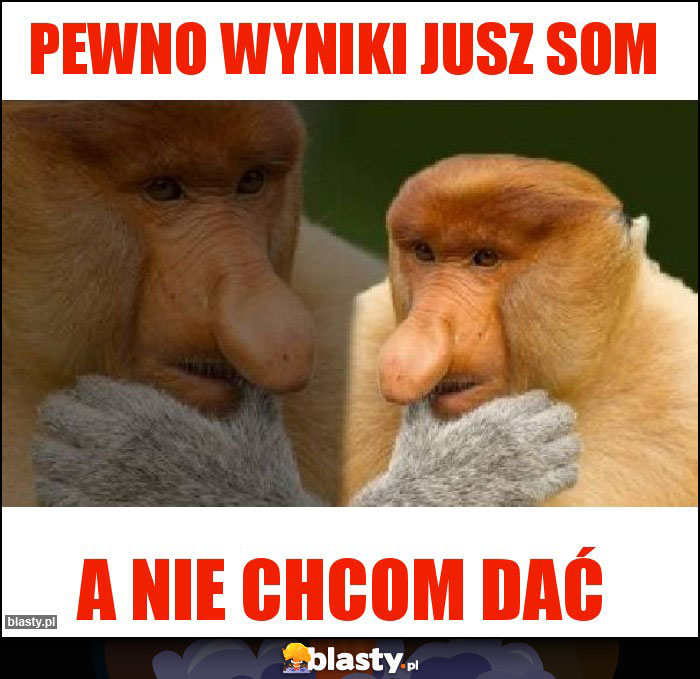 Pewno wyniki jusz som