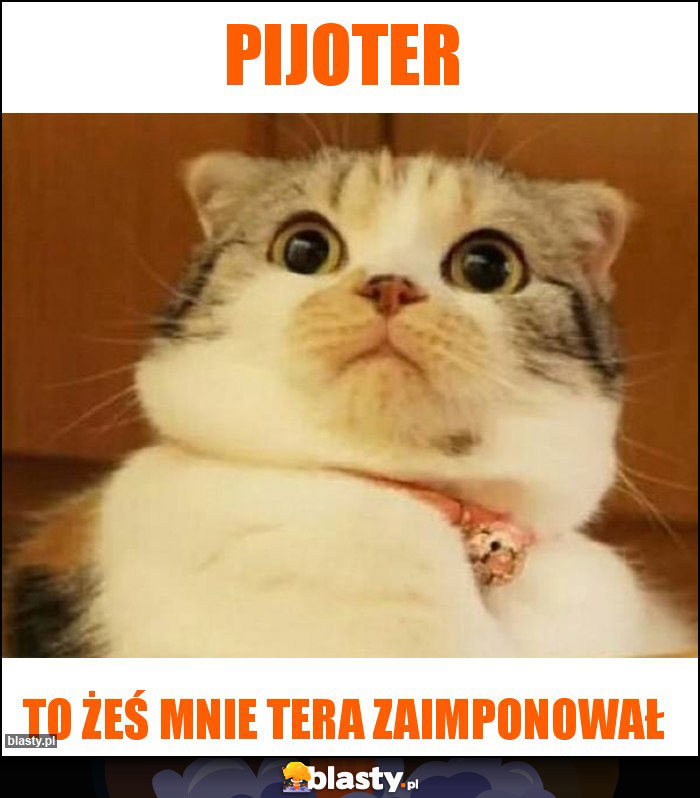 PIJOTER