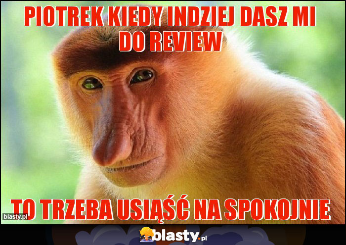 Piotrek kiedy indziej dasz mi do review