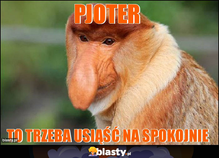 Pjoter