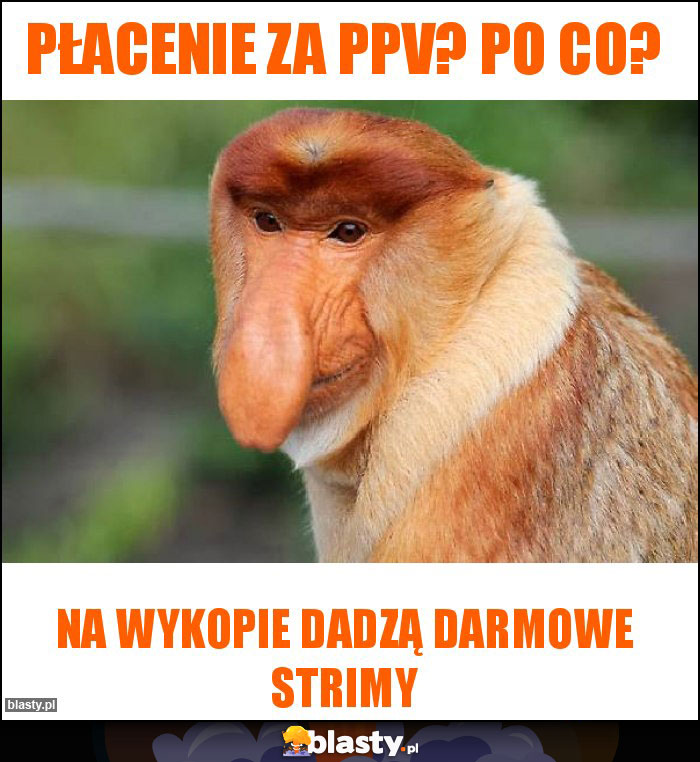 Płacenie za PPV? Po co?