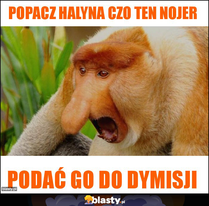 popacz halyna czo ten nojer