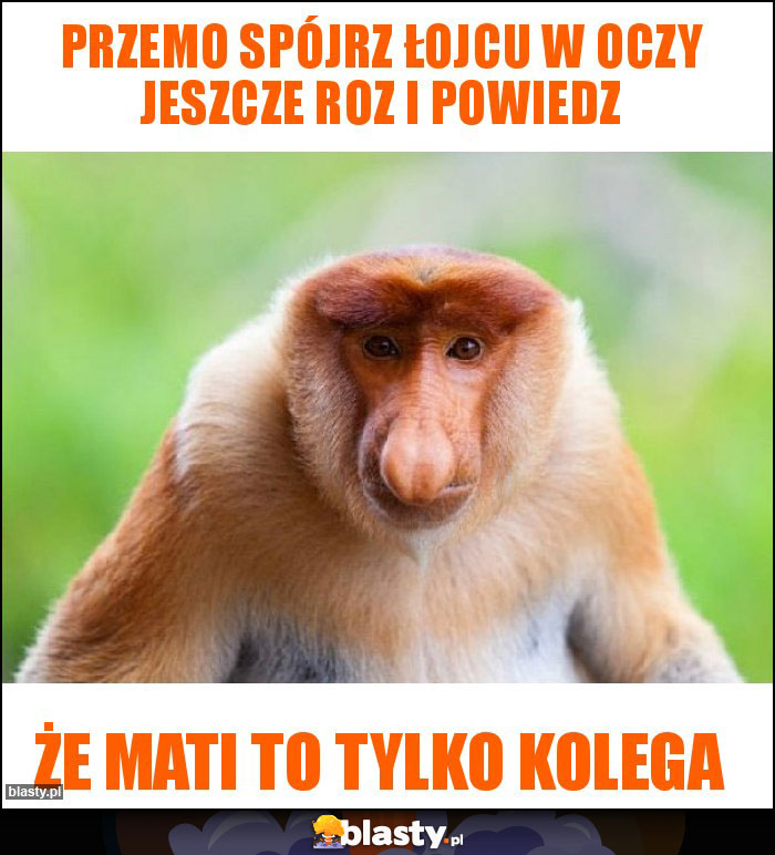 PRZEMO SPÓJRZ ŁOJCU W OCZY JESZCZE ROZ I POWIEDZ