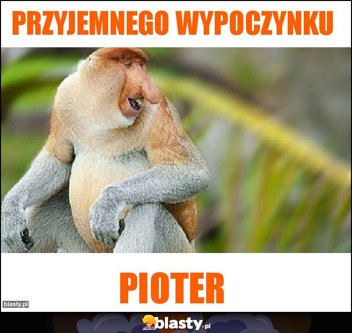 Przyjemnego wypoczynku
