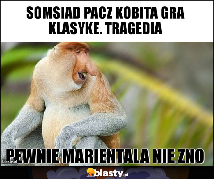 somsiad pacz kobita gra klasyke. Tragedia